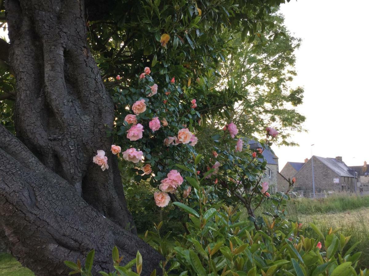 L'Ancien Presbytere D'Ardevon Bed & Breakfast Dış mekan fotoğraf